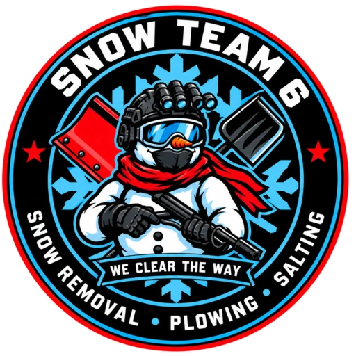 Snow Team 6